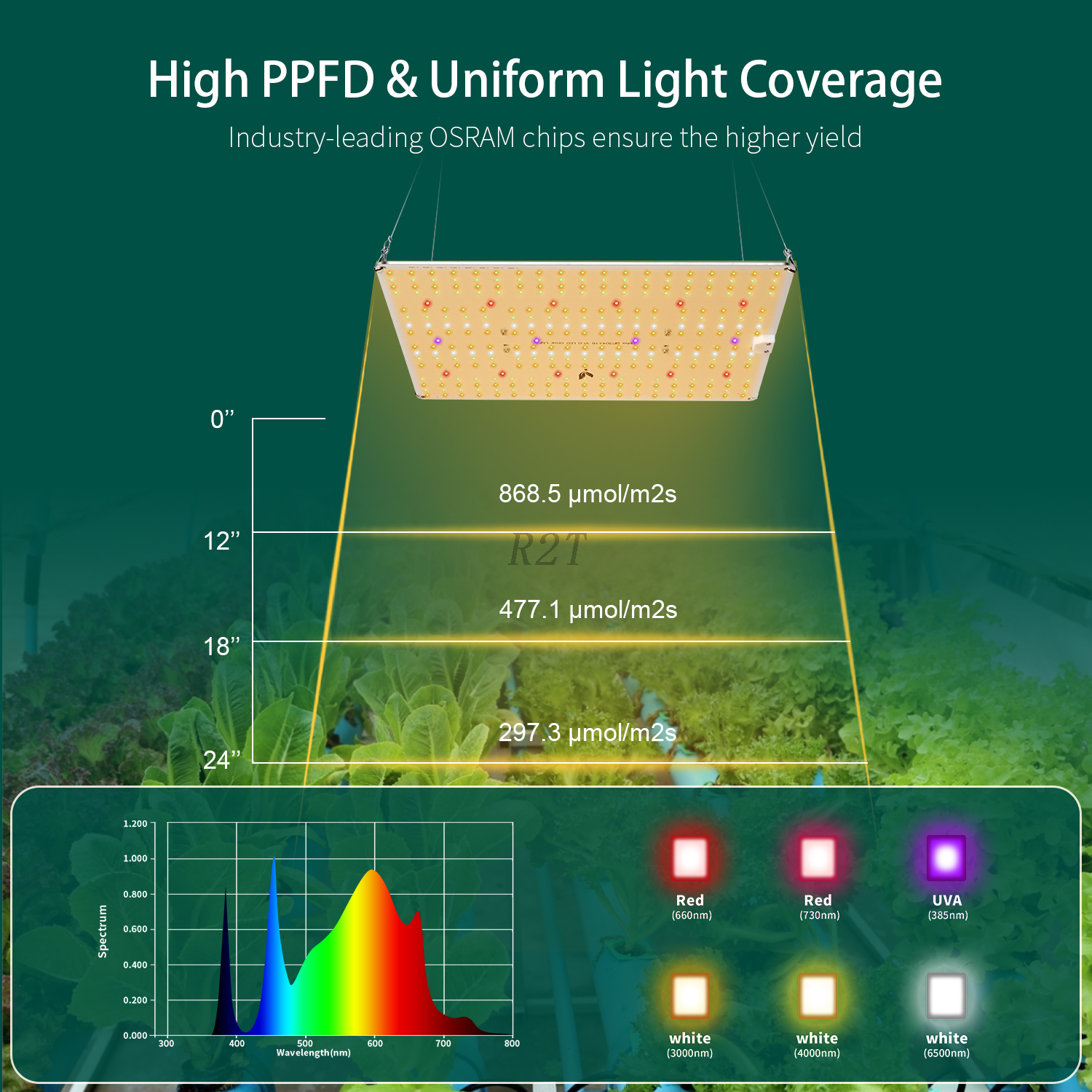 R2TGrow Full Spectrum LED Quantum Alpha 150W QP304+16 3000k+4000K+IR+UVA LED Grow Lamp